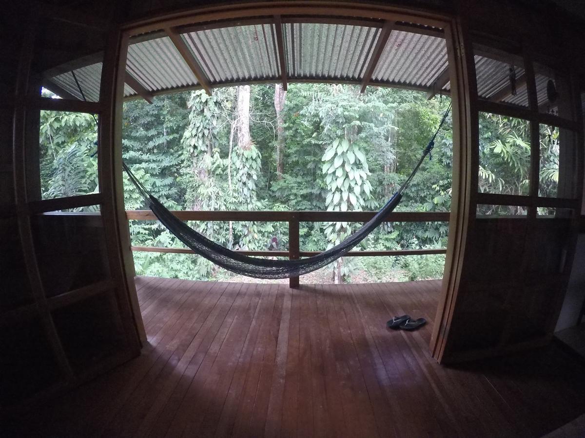 Cabanas Bajo Bosque Drake Drake Bay ภายนอก รูปภาพ