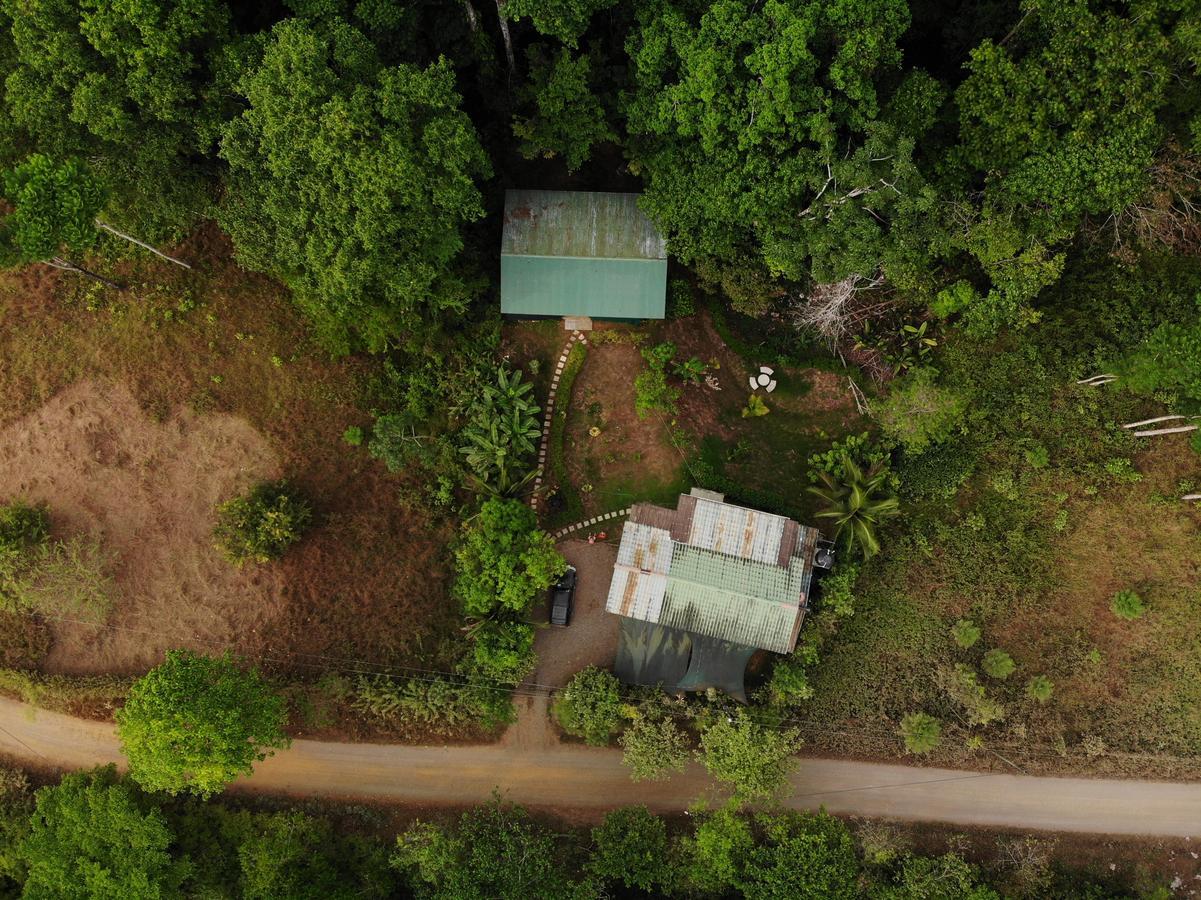 Cabanas Bajo Bosque Drake Drake Bay ภายนอก รูปภาพ